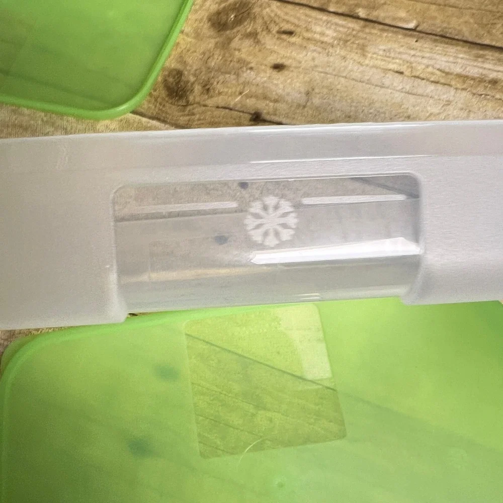 Tupperware Freezer Mates Shallow 2 Green Seals 2 1/4 c Snowflake 4165